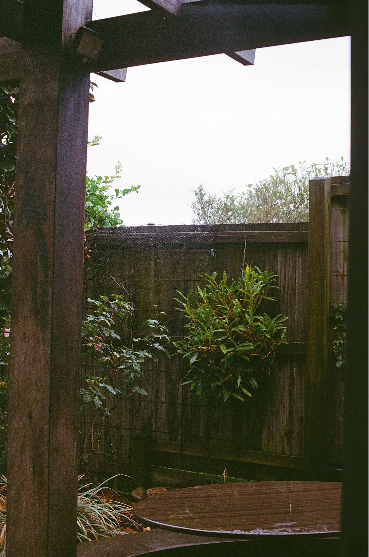 Backyard wood fence paired with a pergola and lush green landscaping