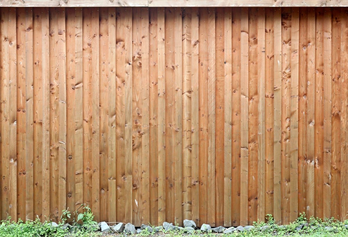 Tall wood privacy fence with climbing white flowering vines growing along it